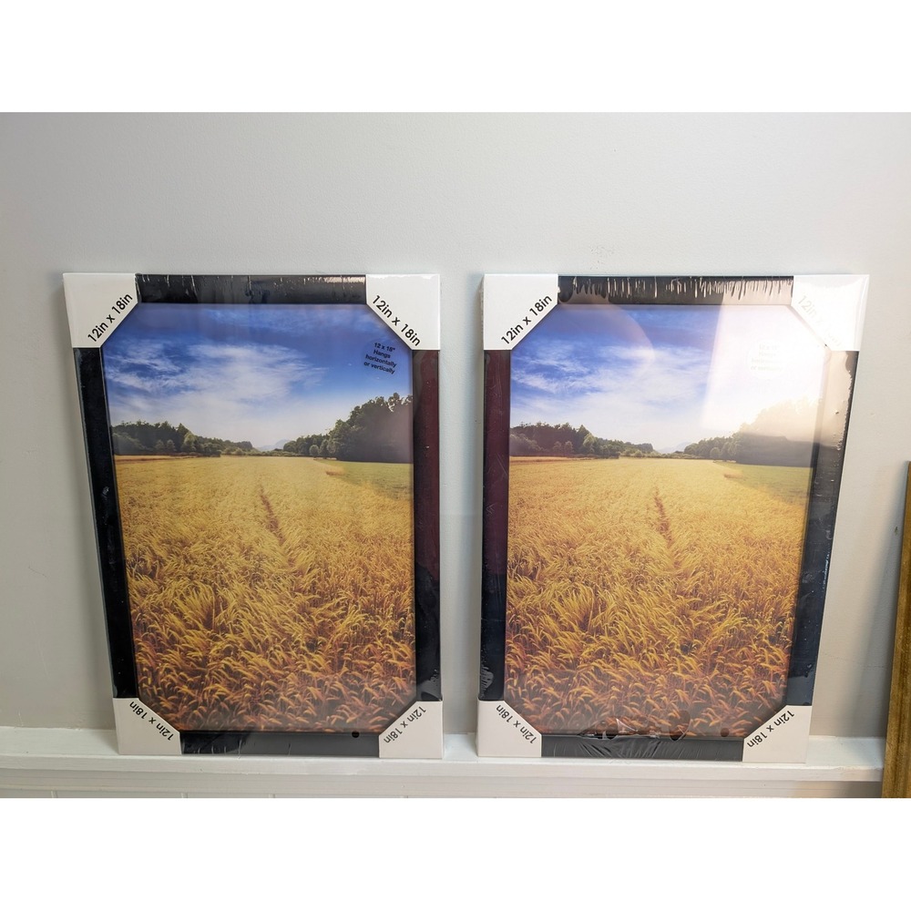 Room Essentials Poster Frames 12 x 18 Inches Black Set of 2 Modern Photo Frames